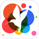 小鸟壁纸安卓版(apk)