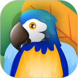 应用icon-孤独的鸟儿2024官方新版