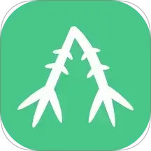 知竹网2025官方新版图标