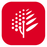 应用宝logo