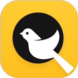小鸟探店2026官方新版图标