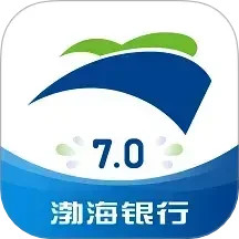 渤海银行2025官方新版图标