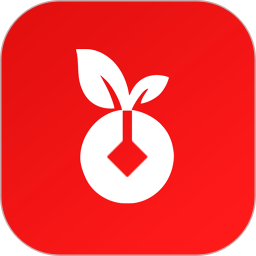 黑银2026官方新版图标