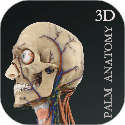 应用icon-掌上3D解剖2024官方新版