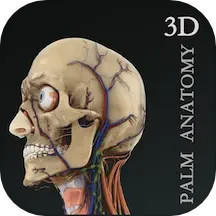 应用icon-掌上3D解剖2024官方新版