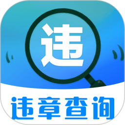 汽车违章查询2025官方新版图标