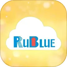 蓝蕊并网Ruiblue Power2025官方新版图标
