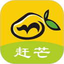 赶芒安卓版