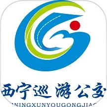 西宁巡游网约公交2025官方新版图标