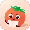 番茄记忆卡安卓版(apk)