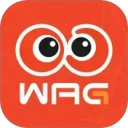 看个比赛安卓版(apk)