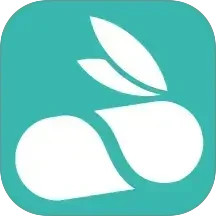 飞兔药城2026官方新版图标