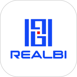 应用icon-REALBI2024官方新版