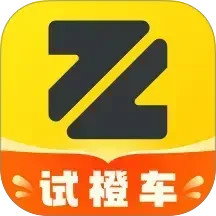 真橙二手车2025官方新版图标