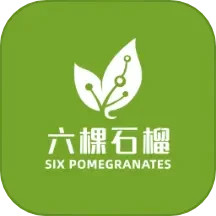 六棵石榴2025官方新版图标