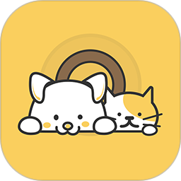 Petool2025官方新版图标