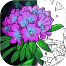 乐涂填色画板2026官方新版图标