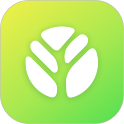 Treeow2025官方新版图标