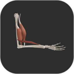 应用icon-3D运动解剖2024官方新版