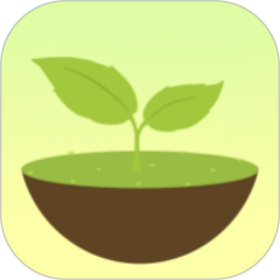 专注番茄2025官方新版图标