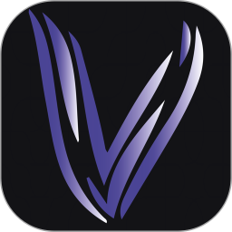 V时代2025官方新版图标