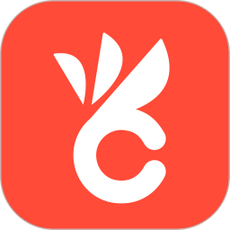 菠菜包2025官方新版图标