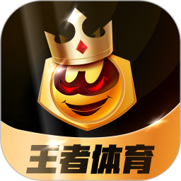 王者体育2025官方新版图标