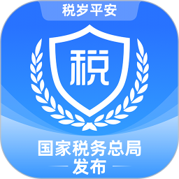 电子税务局2026官方新版图标