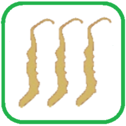 ˧عԱǸ⣬ŵδѽƴ