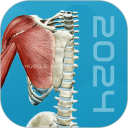 应用icon-3D肌肉解剖2024官方新版