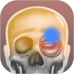 肌肉激痛点图谱2025官方新版图标