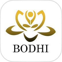 BODHI2024官方新版图标