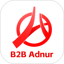 B2B Adnur2024官方新版图标