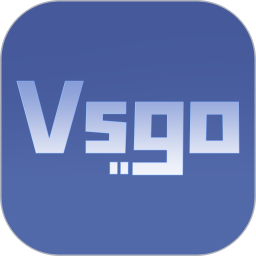 Vsgo2025官方新版图标