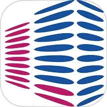 赛迪轻链2026官方新版图标