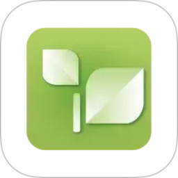 乾茶2026官方新版图标