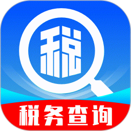 个税查询退税2026官方新版图标