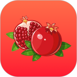 石榴视频2026官方新版图标