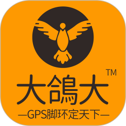 大鸽大2025官方新版图标