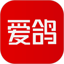 爱鸽2025官方新版图标