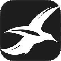海鸥加速器2025官方新版图标