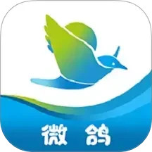 微鸽2025官方新版图标