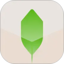 新枝2026官方新版图标