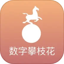 数字攀枝花2025官方新版图标