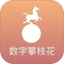 数字攀枝花2025官方新版图标