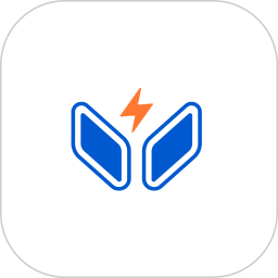 兰科芯智存2026官方新版图标