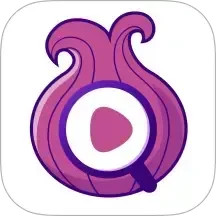 洋葱浏览器助手2025官方新版图标