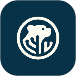 CoralBear2025官方新版图标