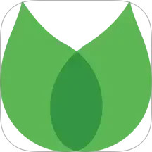 大师链2026官方新版图标