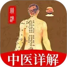 穴位经脉详解2025官方新版图标